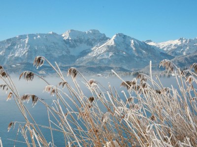 Holiday apartment in the Seehotel Hartung. - Environment photo 36
