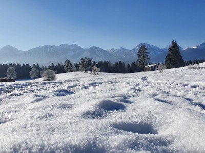 Holiday apartment in the Seehotel Hartung. - Environment photo 38