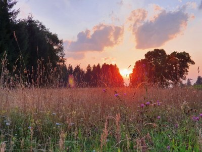 Holiday apartment in the Seehotel Hartung. - Environment photo 39