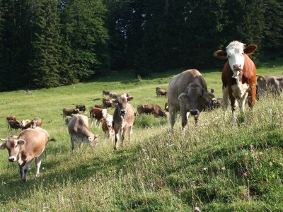 Holiday apartment in the Seehotel Hartung. - Environment photo 40