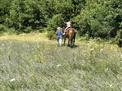 Apartment Apartment in Labin near Rabac Beaches - Environment photo 26