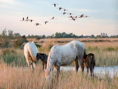 Apartment Bright Apartment Near the Sea - Environment photo 10