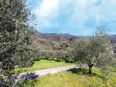 Holiday house Haus am Hang in Marliana - Environment photo 23