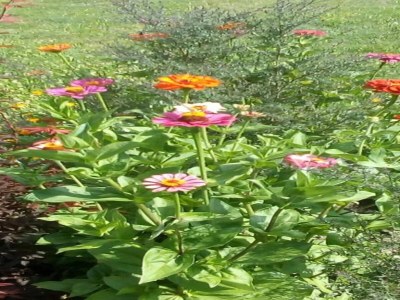 Holiday house Haus am Hang in Marliana - Environment photo 25