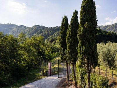 Holiday house Haus am Hang in Marliana - Environment photo 29