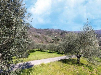 Holiday house Haus am Hang in Marliana - Environment photo 31