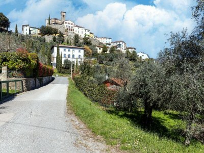 Holiday house Haus am Hang in Marliana - Environment photo 32