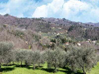 Holiday house Haus am Hang in Marliana - Environment photo 33