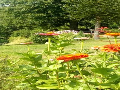 Holiday house Haus am Hang in Marliana - Environment photo 34