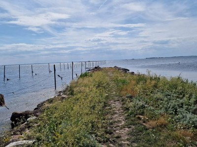 Holiday house 8 Personen Ferienhaus in Svendborg - Outdoor photo 28