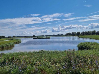 Holiday house 8 Personen Ferienhaus in Svendborg - Outdoor photo 30