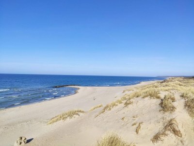 Holiday house 5 star holiday home in Liseleje - Outdoor photo 32