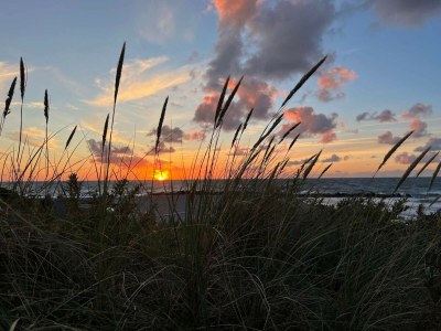 Holiday house 5 star holiday home in Liseleje - Outdoor photo 34