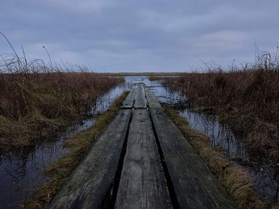 Holiday house 4 star holiday home in Hals - Outdoor photo 19