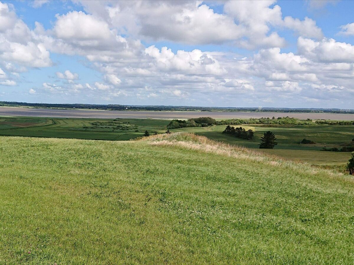 Holiday house Einladendes Ferienhaus für 6 Personen in Blokhus - Outdoor photo 4