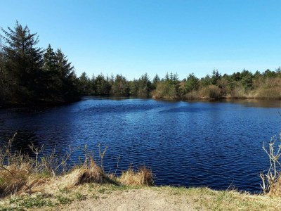 Holiday house Einladendes Ferienhaus für 6 Personen in Blokhus - Outdoor photo 13