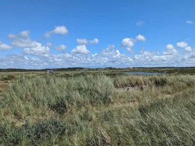 Holiday house 4 Sterne Ferienhaus in Nørre Nebel - Outdoor photo 29