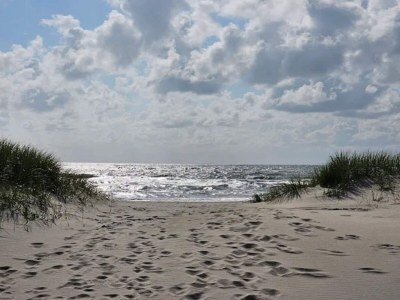 Holiday house 4 Sterne Ferienhaus in Nørre Nebel - Outdoor photo 31