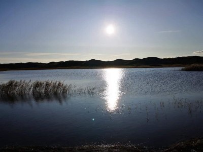 Holiday house 4 Sterne Ferienhaus in Nørre Nebel - Outdoor photo 32