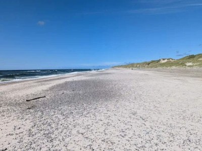 Holiday house 4 Sterne Ferienhaus in Nørre Nebel - Outdoor photo 37