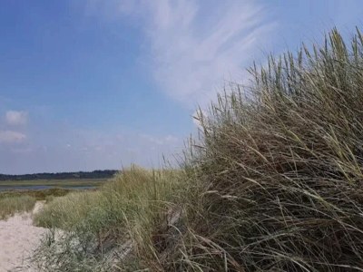 Holiday house 4 Sterne Ferienhaus in Nørre Nebel - Outdoor photo 38