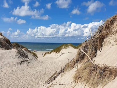 Holiday house 4 Sterne Ferienhaus in Nørre Nebel - Outdoor photo 45