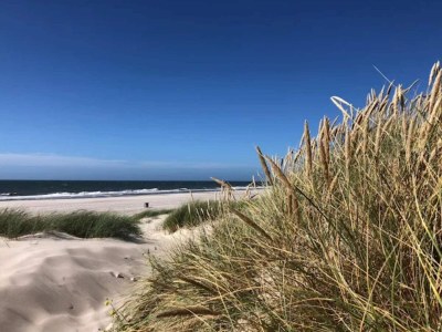 Holiday house 4 Sterne Ferienhaus in Nørre Nebel - Outdoor photo 46