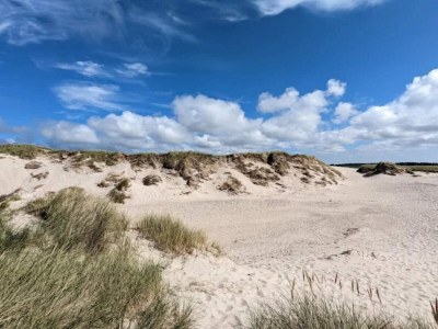 Holiday house 4 Sterne Ferienhaus in Nørre Nebel - Outdoor photo 77