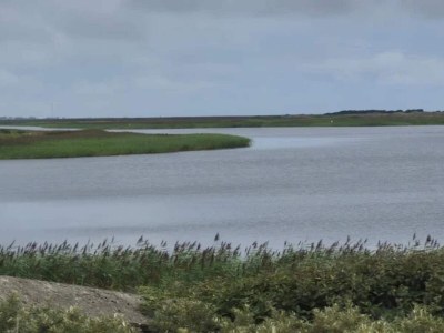 Holiday house 4 Sterne Ferienhaus in Nørre Nebel - Outdoor photo 78