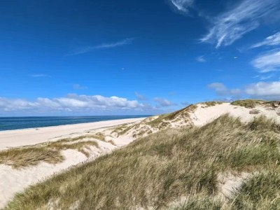 Holiday house 4 Sterne Ferienhaus in Nørre Nebel - Outdoor photo 79