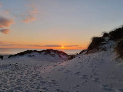 Holiday house 4 Sterne Ferienhaus in Nørre Nebel - Outdoor photo 84