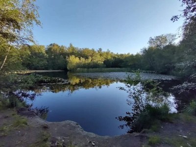 Holiday house 4 star holiday home in Ålbæk - Outdoor photo 18