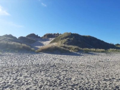 Holiday house 4 star holiday home in Ålbæk - Outdoor photo 35