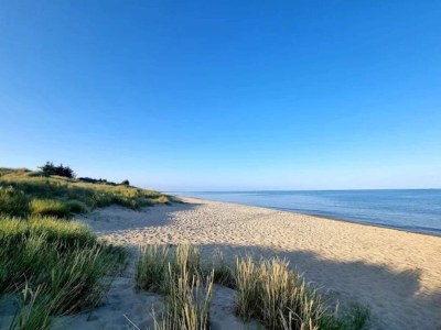 Holiday house 4 star holiday home in Ålbæk - Outdoor photo 36