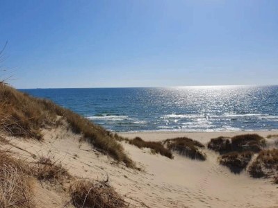 Holiday house 4 star holiday home in Ålbæk - Outdoor photo 37