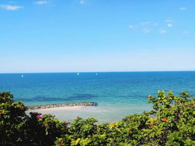 Holiday house 5 Sterne Ferienhaus in Liseleje - Outdoor photo 24