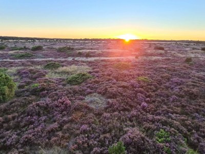 Holiday house 5 star holiday home in Hadsund - Outdoor photo 24
