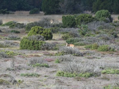 Holiday house 5 star holiday home in Hadsund - Outdoor photo 25