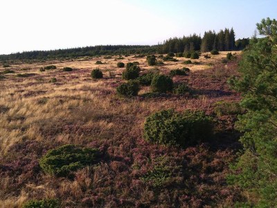 Holiday house 5 star holiday home in Hadsund - Outdoor photo 28