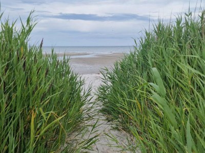 Holiday house 5 star holiday home in Hadsund - Outdoor photo 31