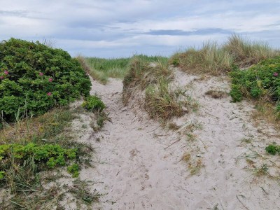 Holiday house 5 star holiday home in Hadsund - Outdoor photo 39