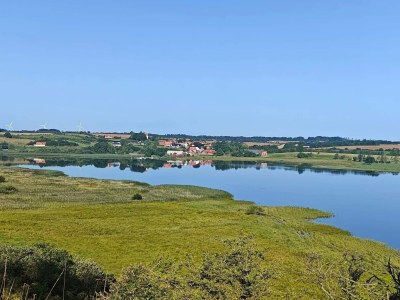 Holiday house 5 Sterne Ferienhaus in Løgstrup - Outdoor photo 15