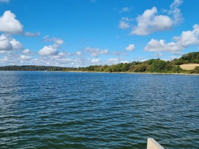 Holiday house 5 Sterne Ferienhaus in Aabenraa - Outdoor photo 36