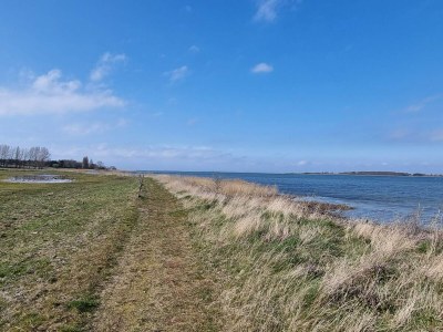 Holiday house 6 Personen Ferienhaus in Marstal - Outdoor photo 44