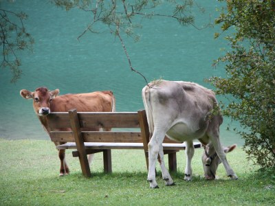 Holiday apartment Wett - Environment photo 20