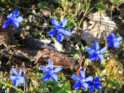 Holiday apartment Wett - Environment photo 21