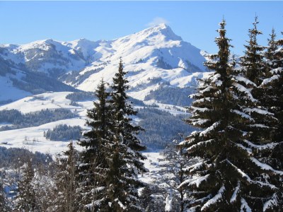 Holiday apartment Wett - Environment photo 22