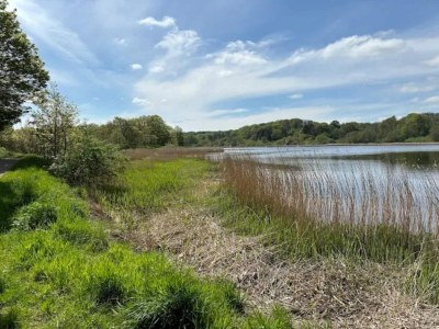 Holiday house 4 star holiday home in Aabenraa - Outdoor photo 29