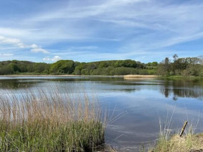 Holiday house 4 star holiday home in Aabenraa - Outdoor photo 32