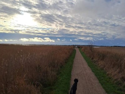 Holiday house 2 Personen Ferienhaus in Ringkøbing - Outdoor photo 20